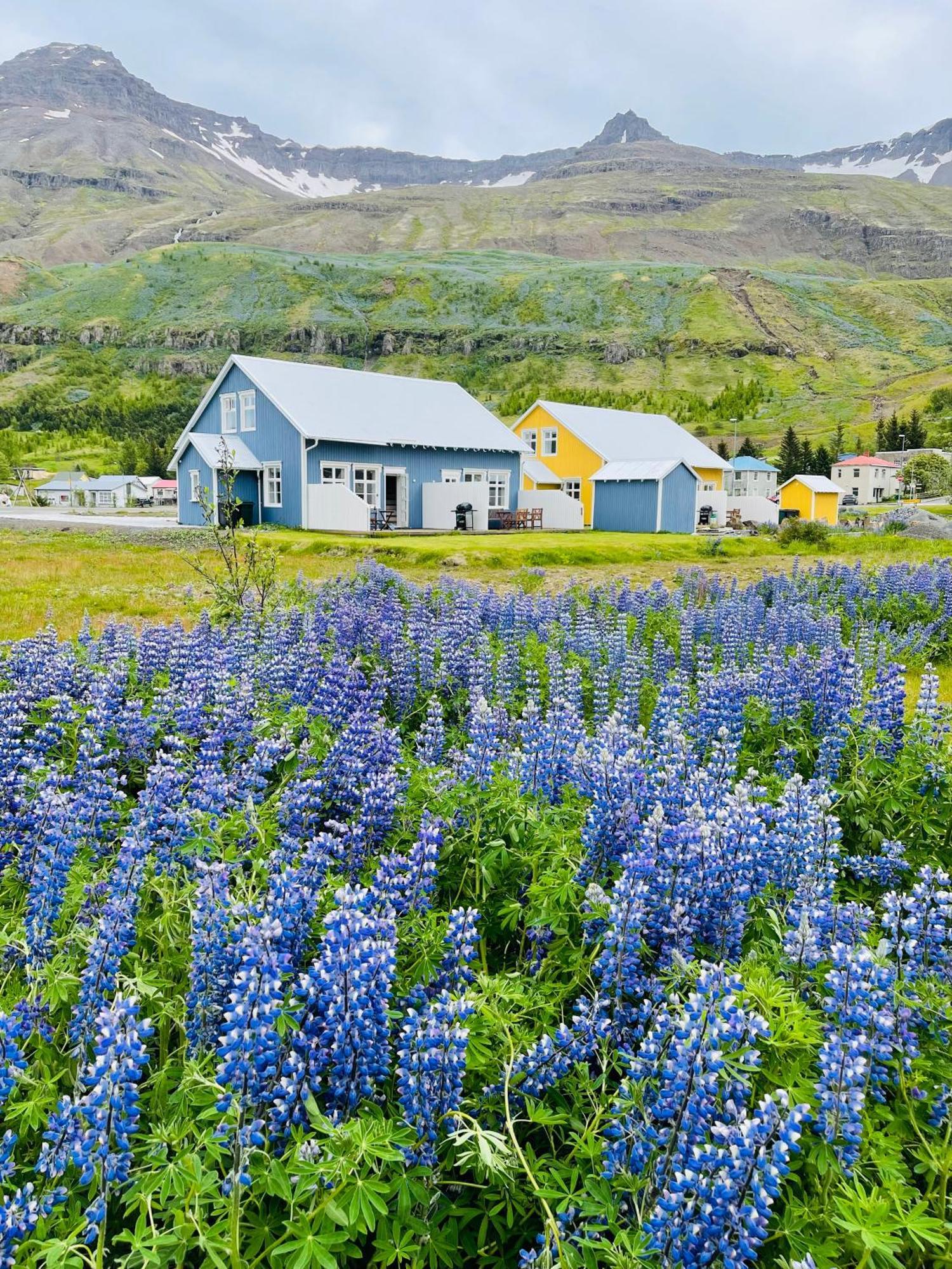 뢴슬레이라 아파트먼트 Seyðisfjörður 외부 사진