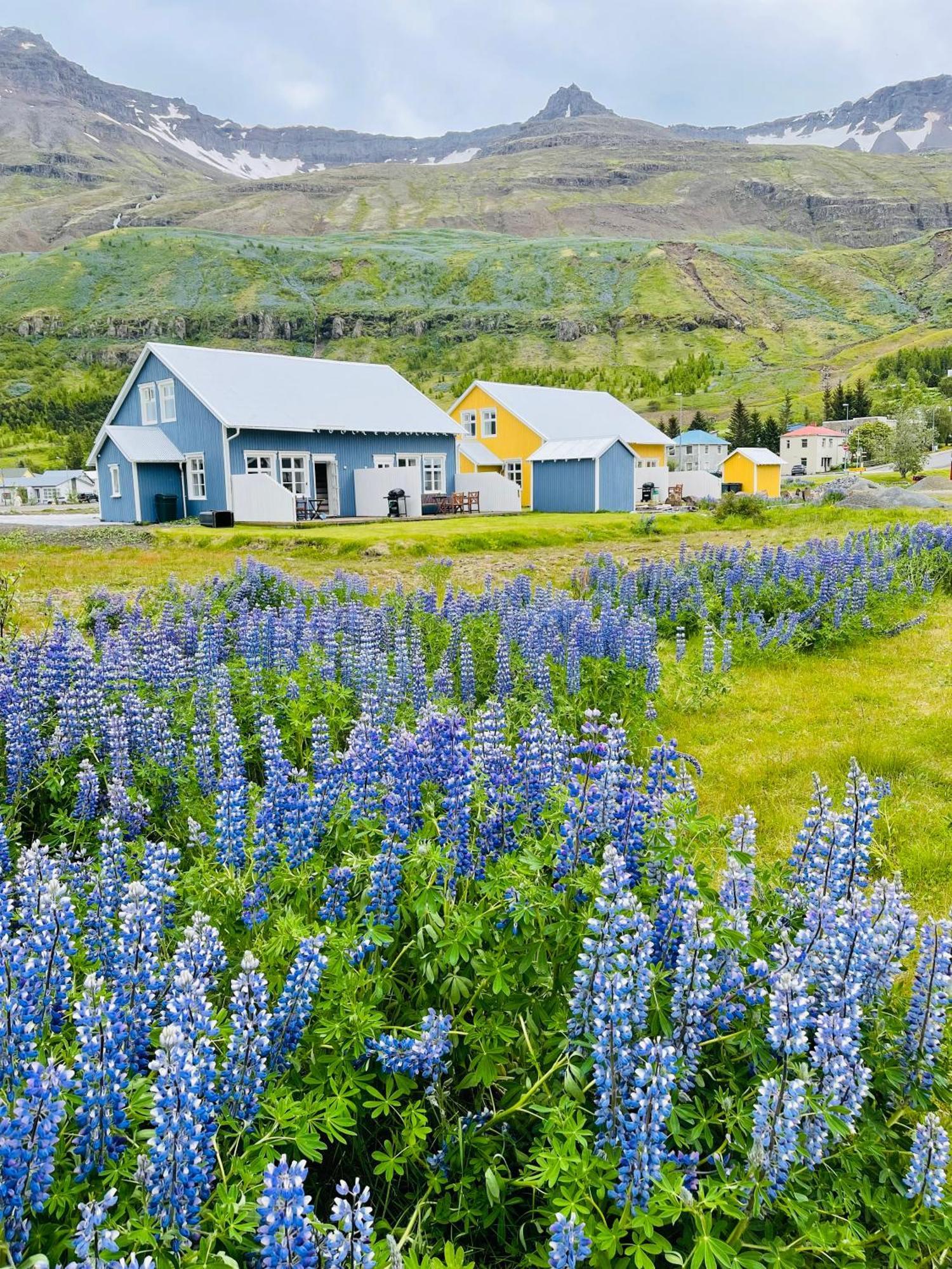 뢴슬레이라 아파트먼트 Seyðisfjörður 외부 사진